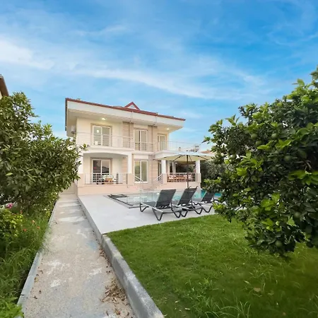 Villa Arok *